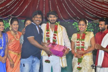 Srinivasa Kalyanam Movie Audio Launch Photos
